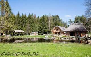 Дома для отпуска Oanduaia Forest Relax Spa Oandu Дом с 2 спальнями-17